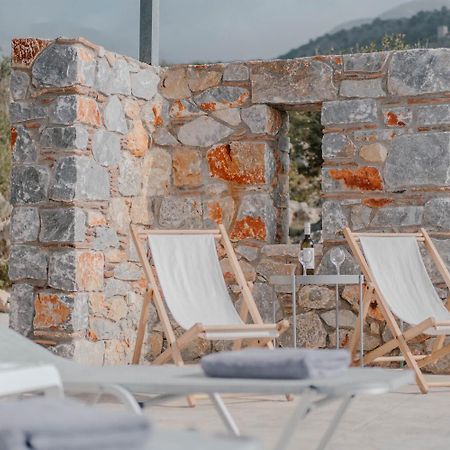 Villa Dioni Ena Пиргос Екстериор снимка